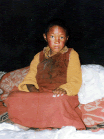 the young 17th Karmapa