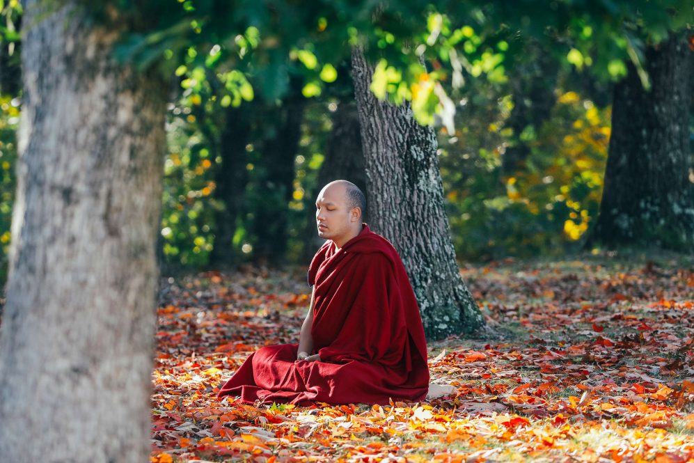 Karmapa Meditating in the USA