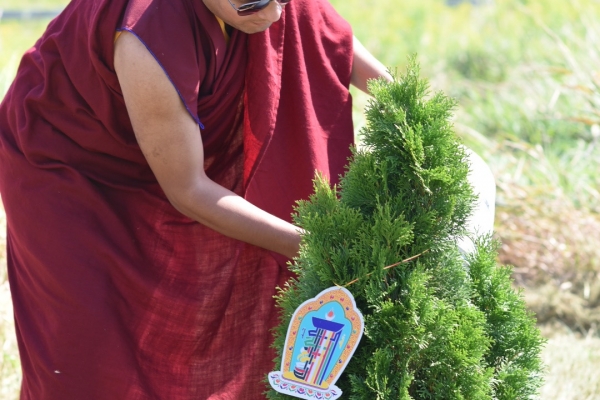 Karmapa plants a new tree